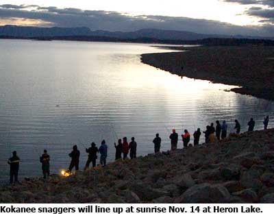 salmon snagging - NMDGF Archive News: Kokanee snagging season opens Nov. 14 at Heron Lake 