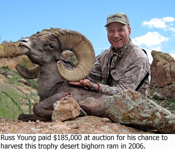 NMDGF Archive News - Russ Young paid $185,000 at auction for his chance to harvest this trophy desert bighorn ram in 2006